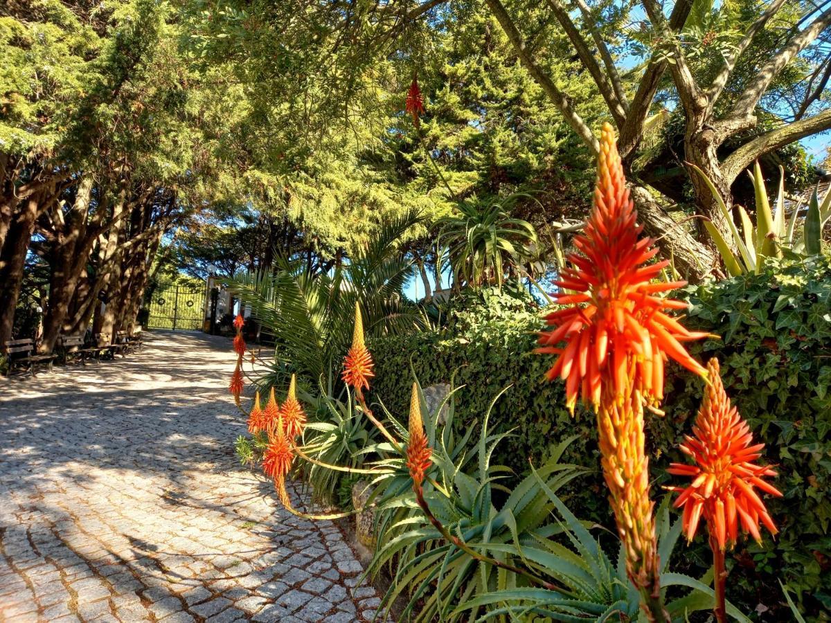 לינה וארוחת בוקר Calhandriz Quinta La Venus De Lisbonne מראה חיצוני תמונה